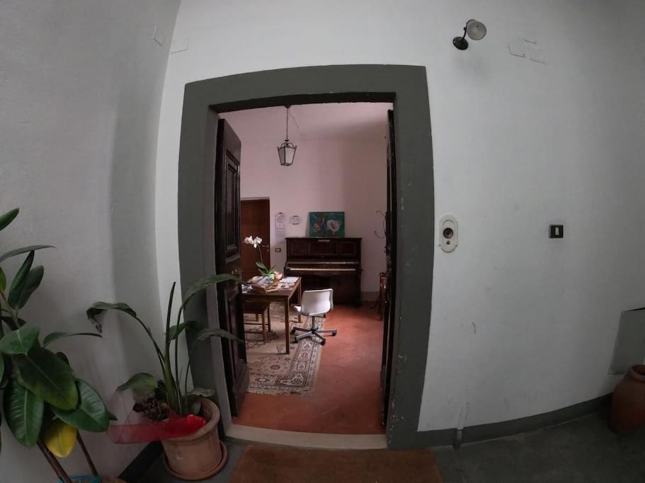 Romantic Suite Pisa Dış mekan fotoğraf